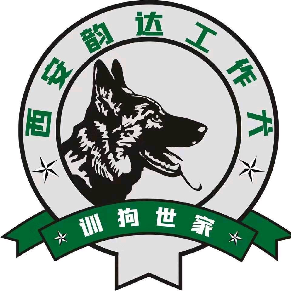西安韵达工作犬训练