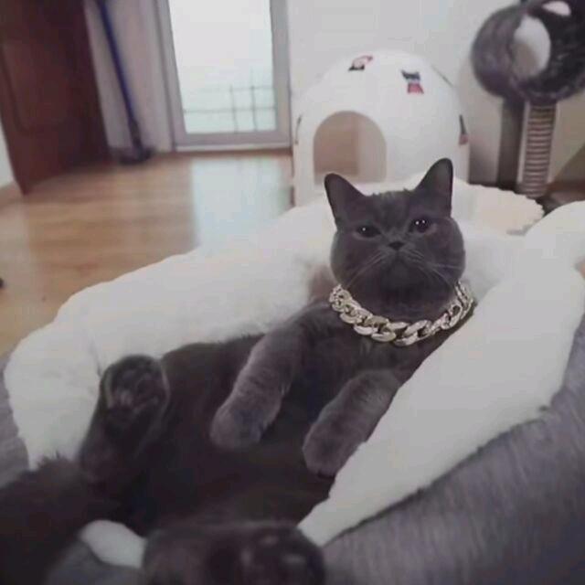 小轩头大大