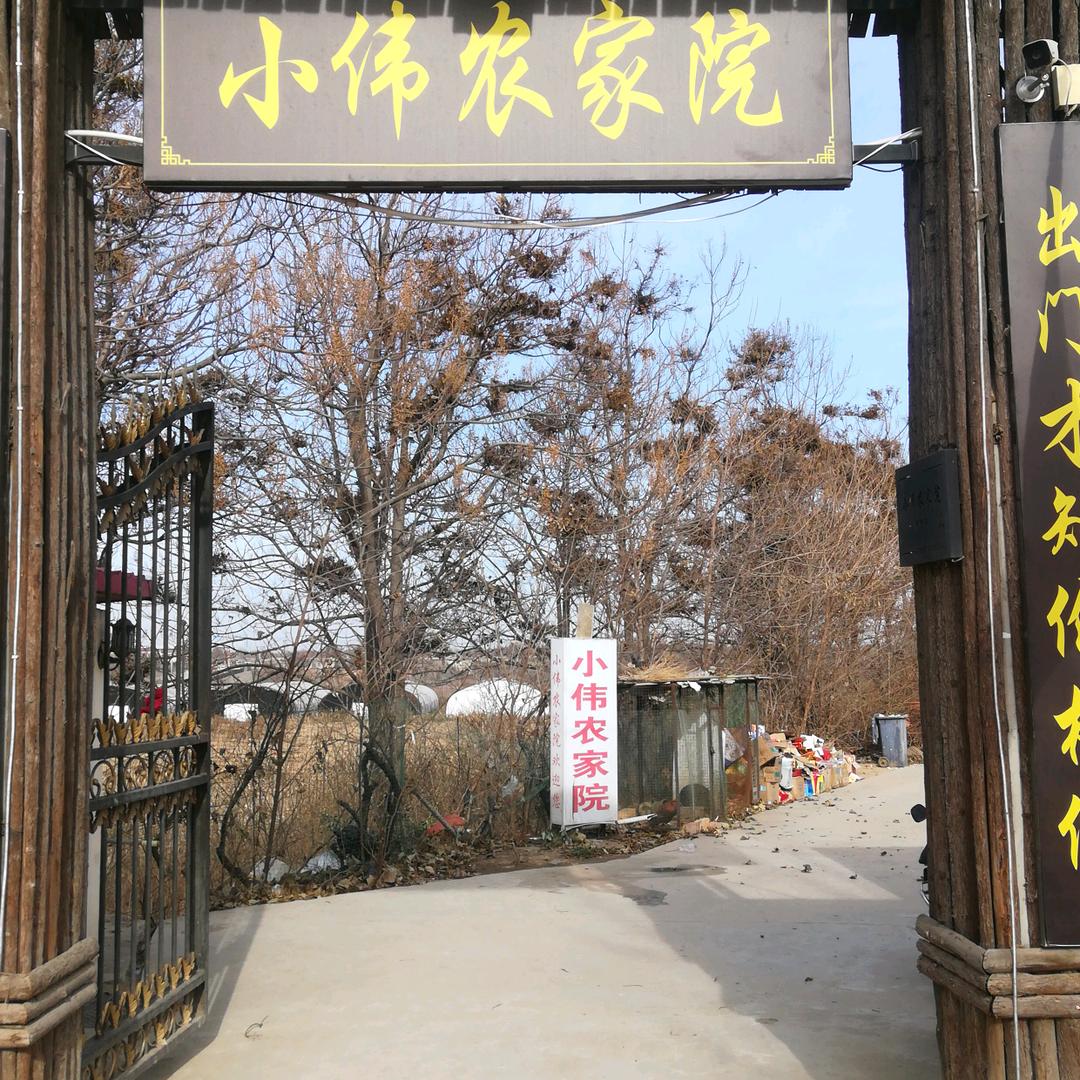小伟农家院