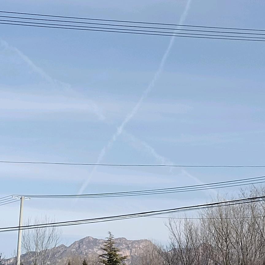 静观琪变