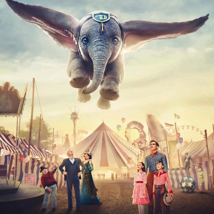 鸡毛毯子飞上天🐾