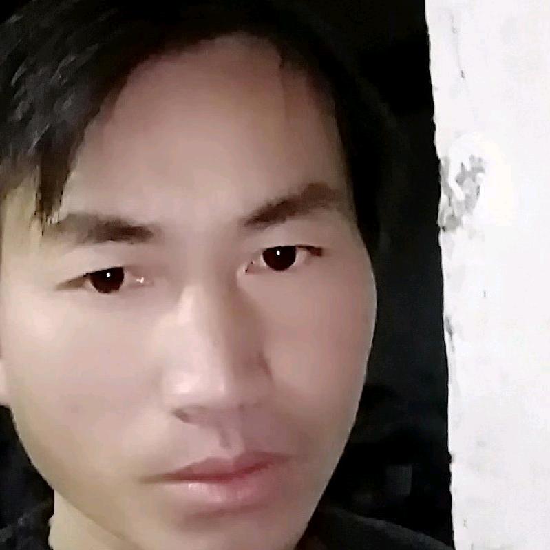 小伍哥