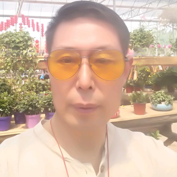 静夜如歌
