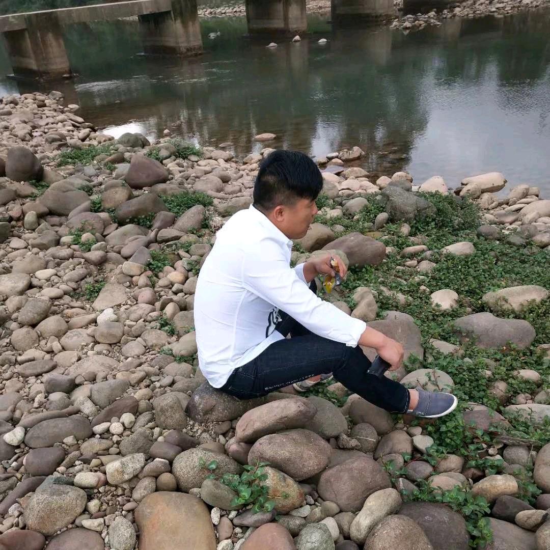 玉树林风