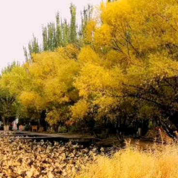 @এ᭄晚ꦿ꯭ꫛ风@এ᭄