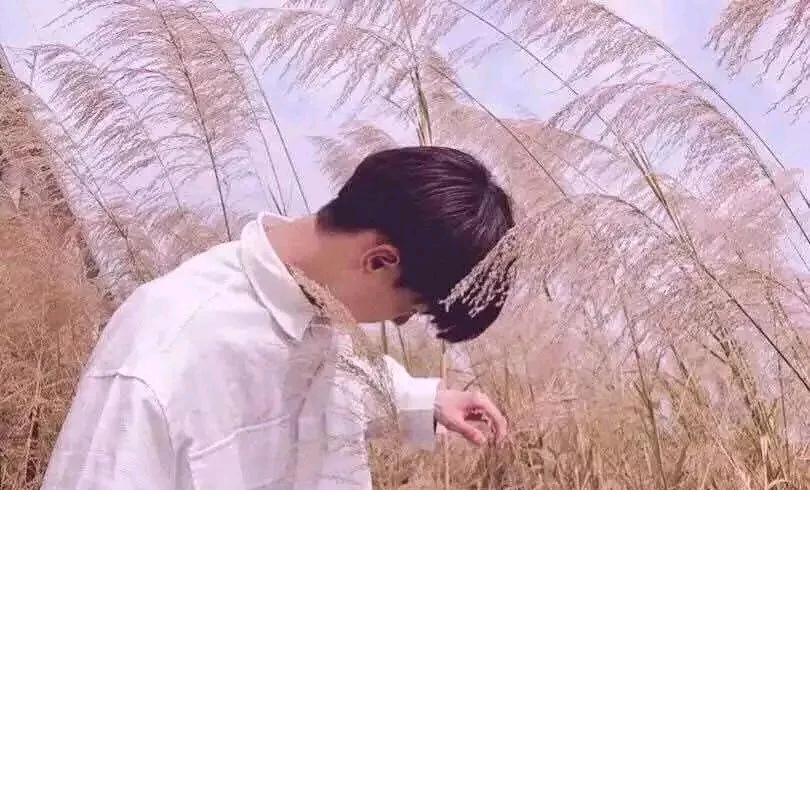 乾之三爻