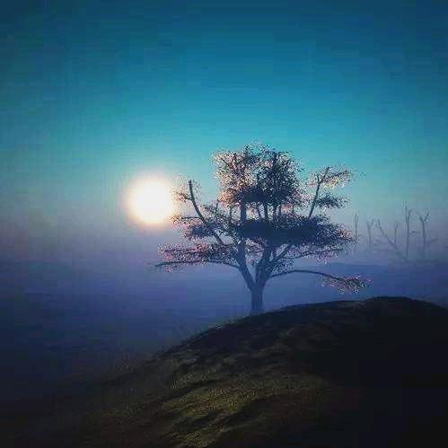 云上白云