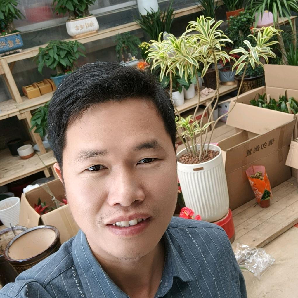 南昌华德园艺花卉绿植配送上门庭院施工租赁