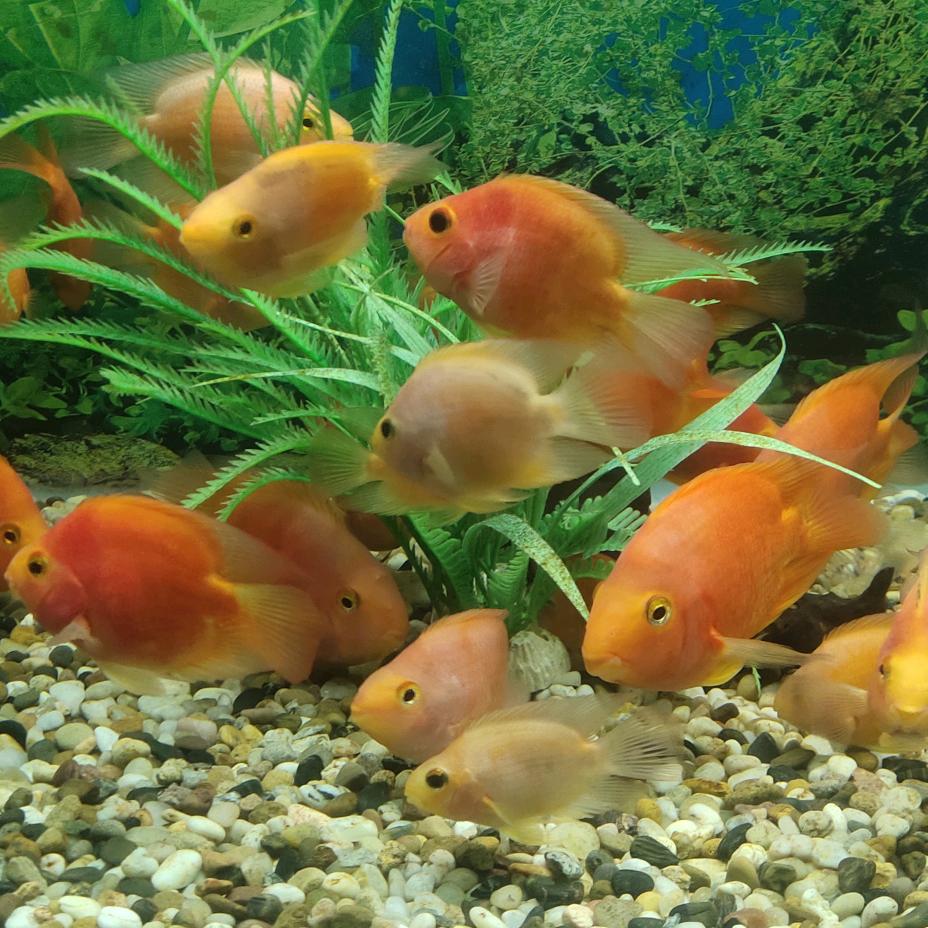 顺🍀🎄其🌹🌹自🍎然🍓🍓