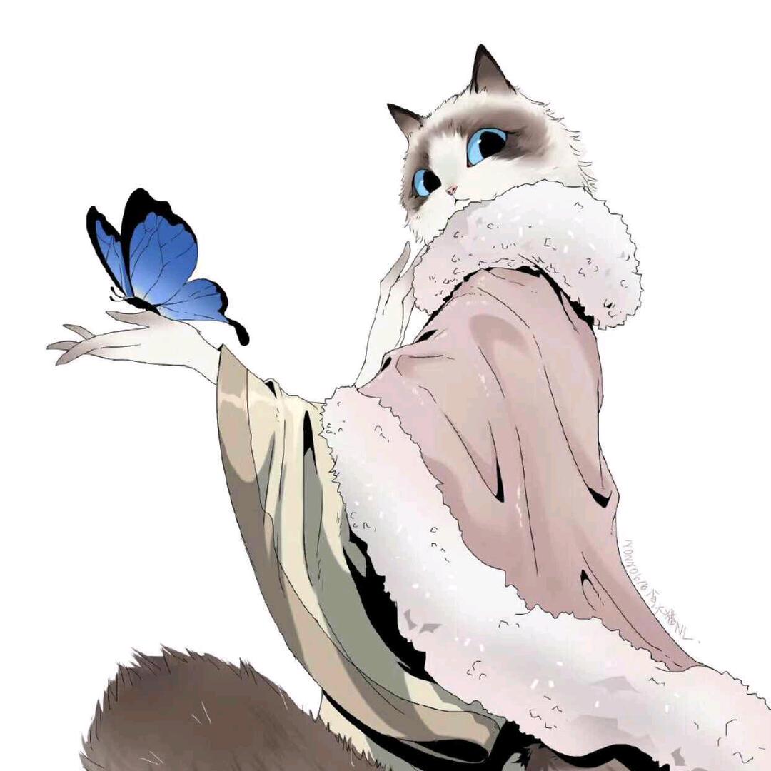 瞌睡猫