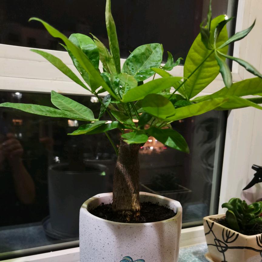 微笑面对生活