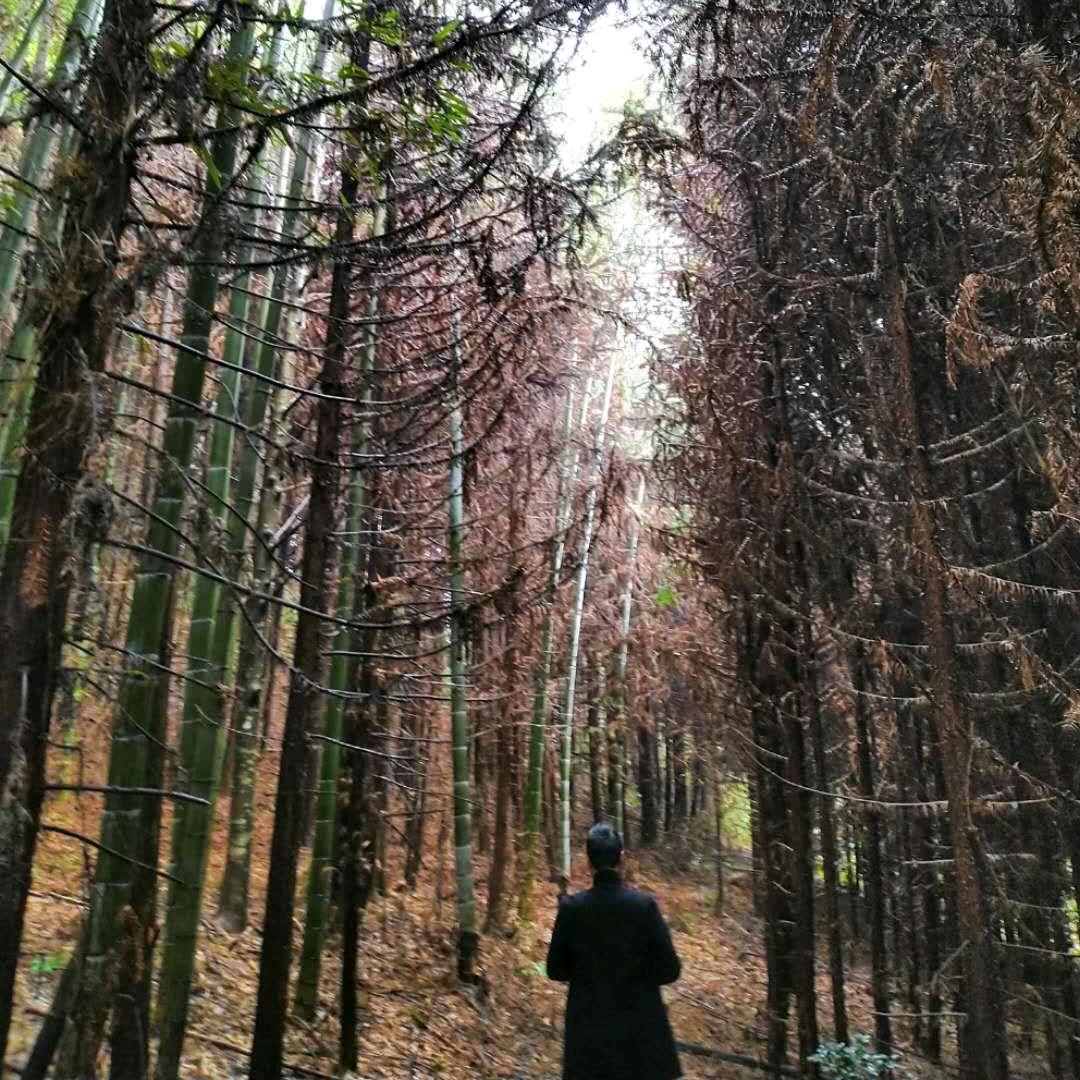 爱自己❤️爱生活