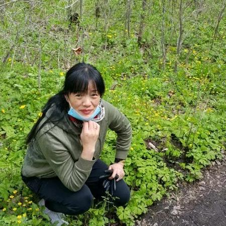 英子