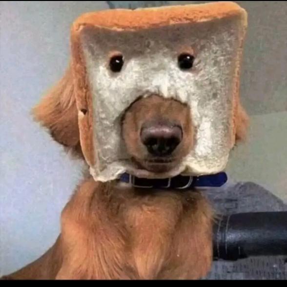 吧唧一口。。。