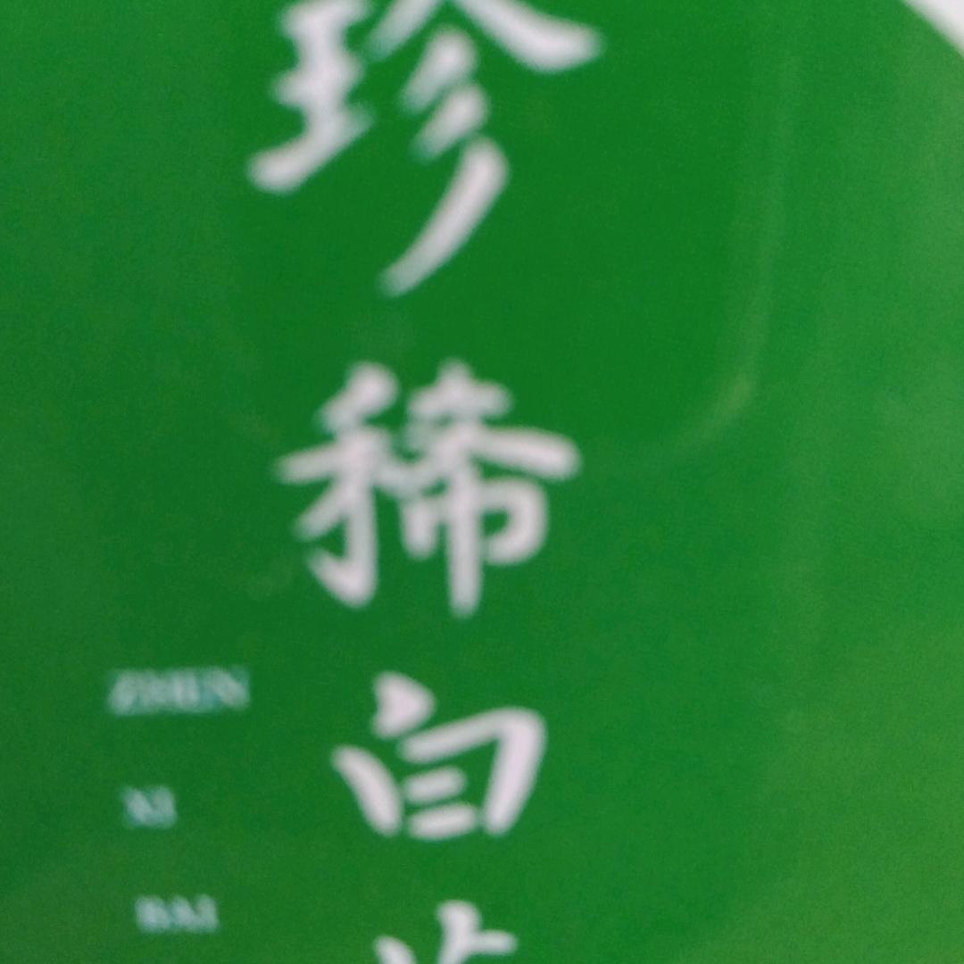 芳芳