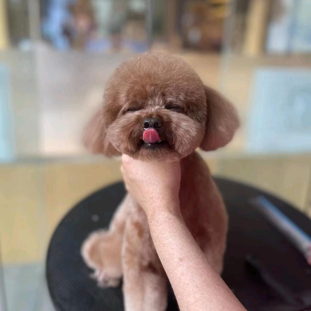 走过幸福