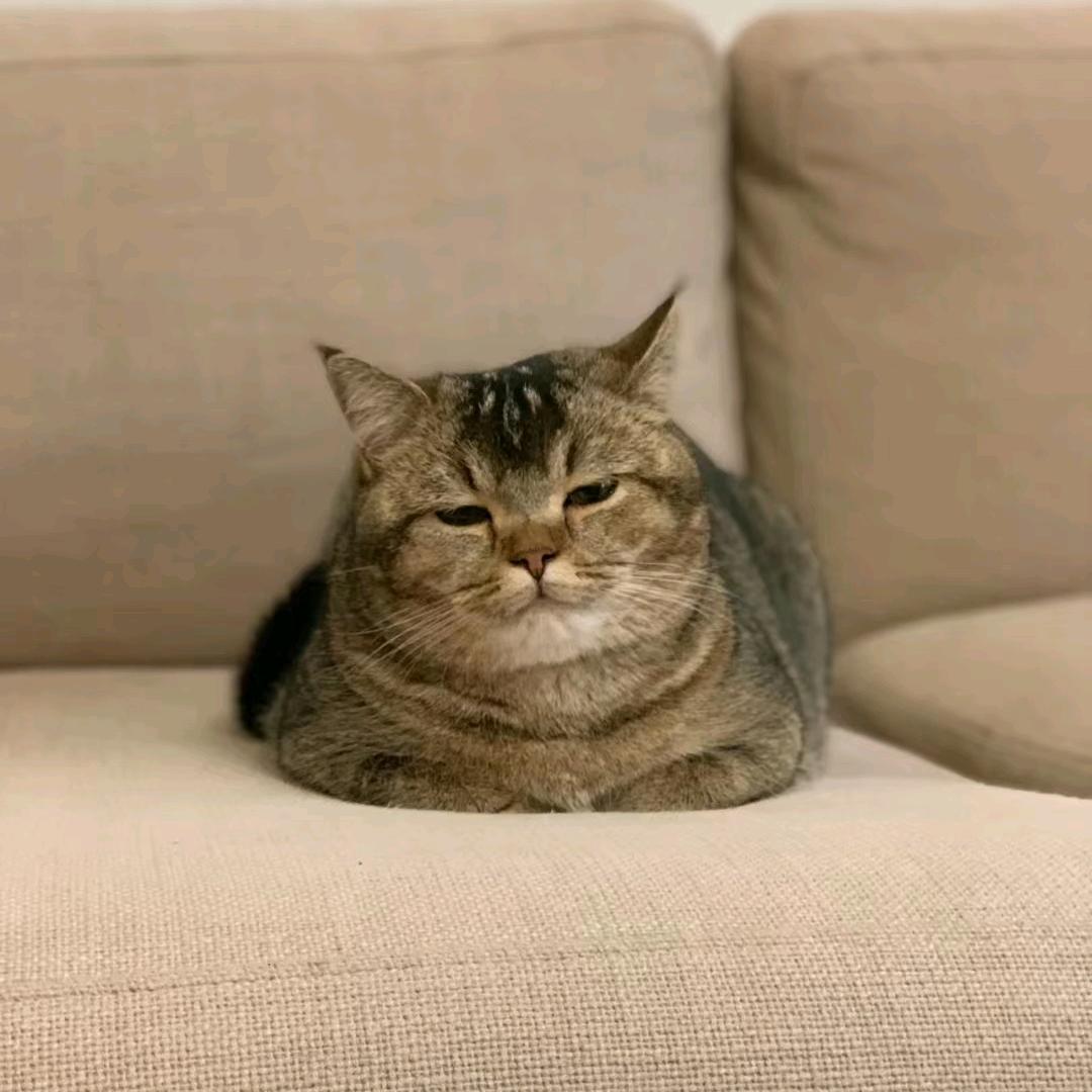寒兵哥1