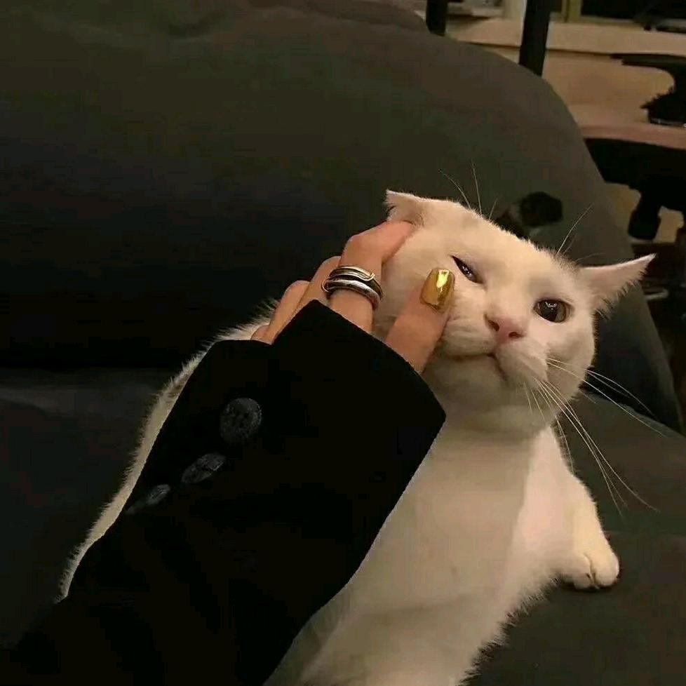 小兰儿