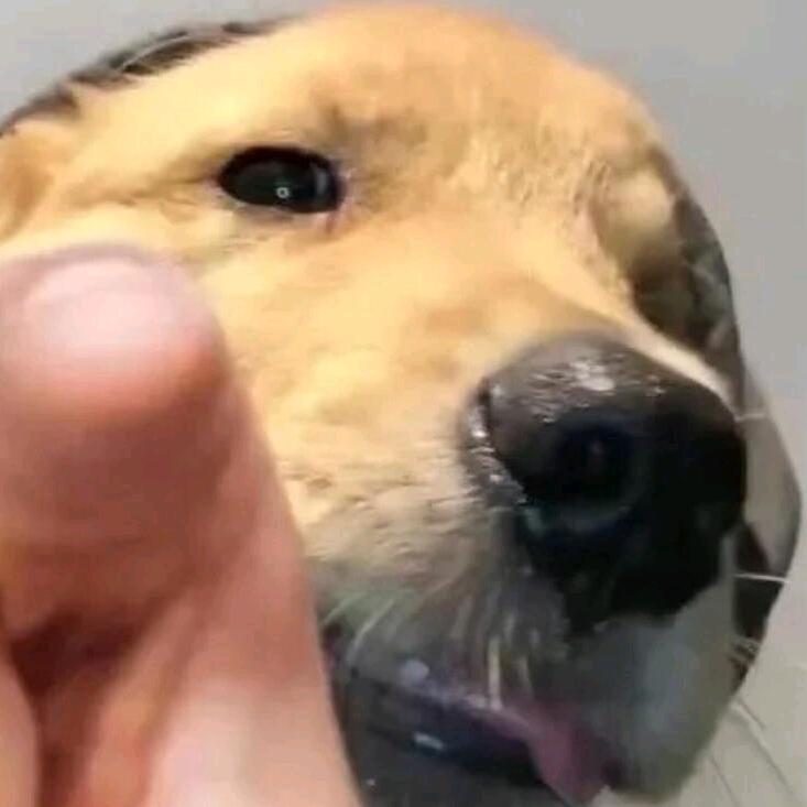 通知你的回忆