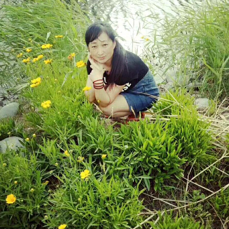 风中的那一抹微笑
