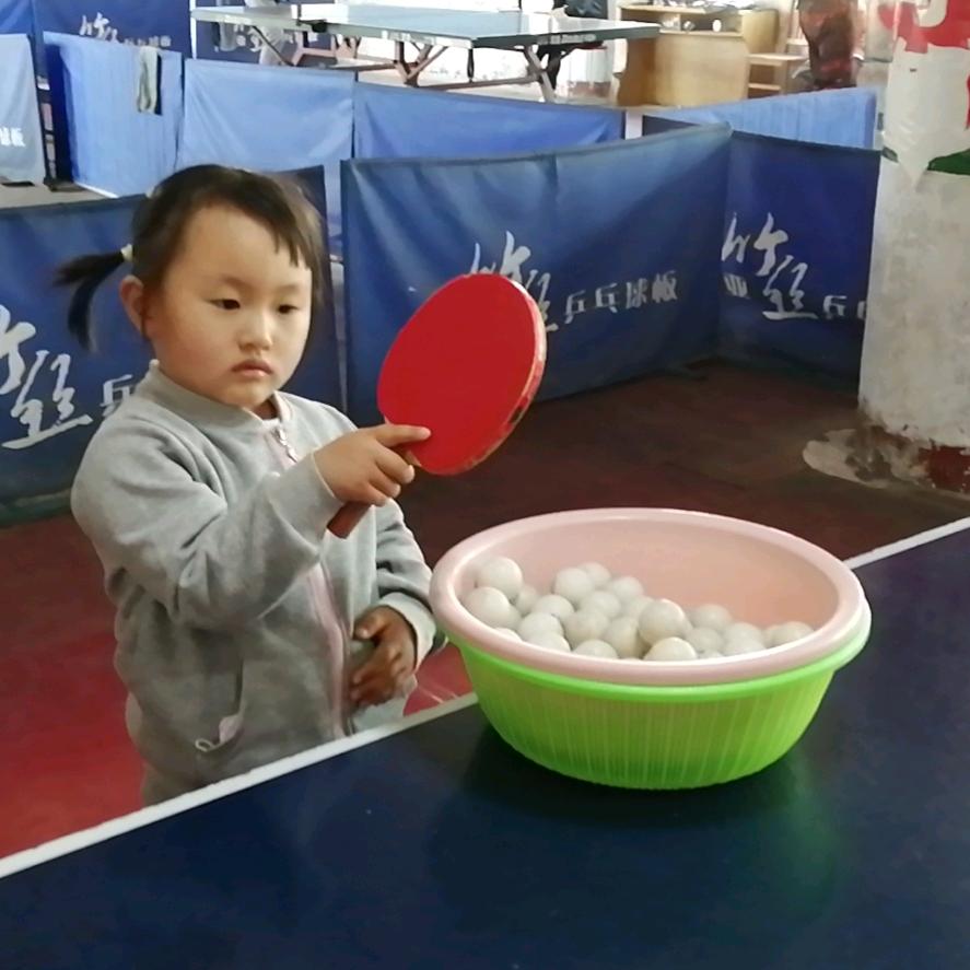 海华乒乓球馆