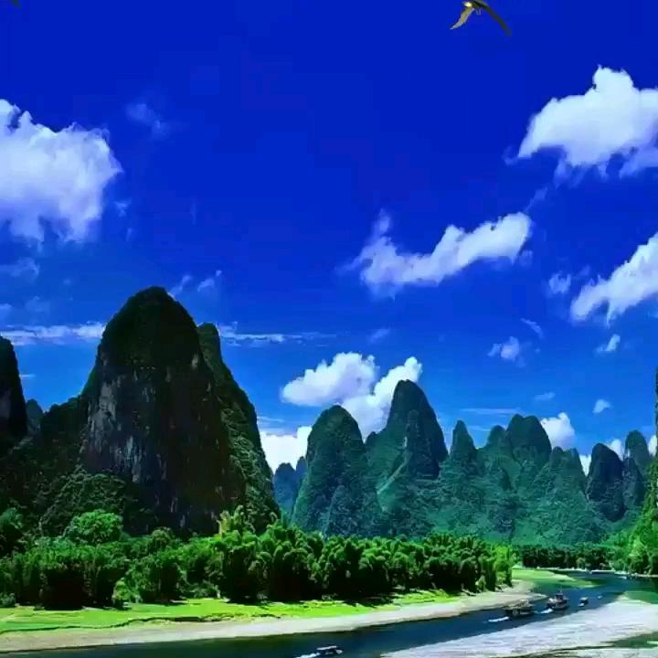 篮天风云