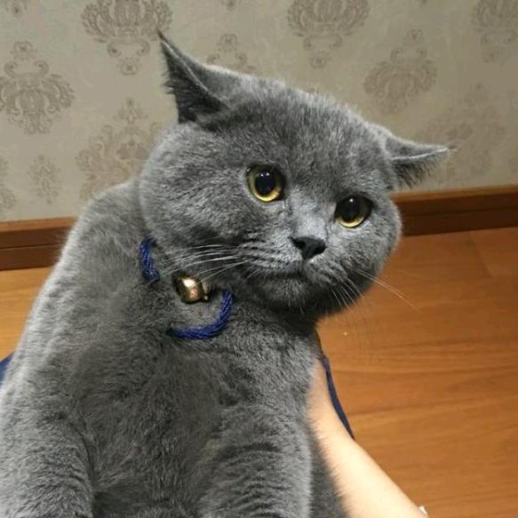 源子丶
