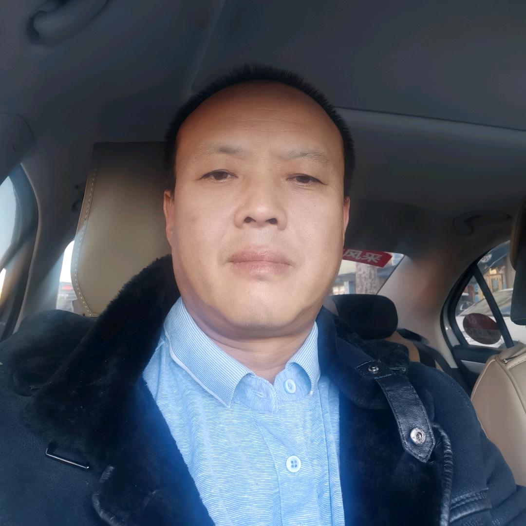 苍狼之约