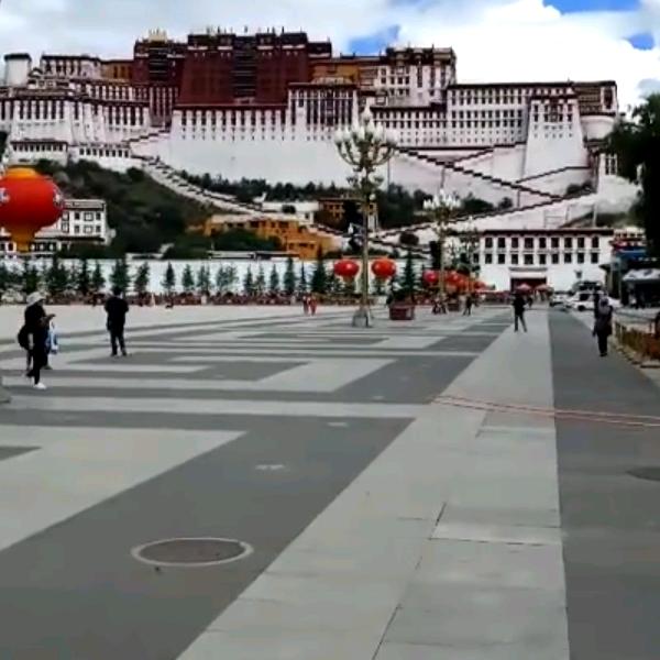 联顺物流