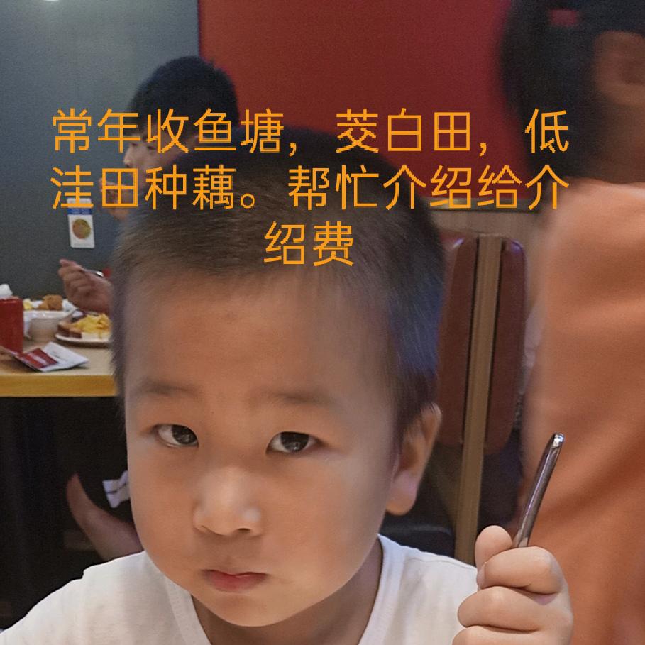 郑他一个亿(飞防小郑)