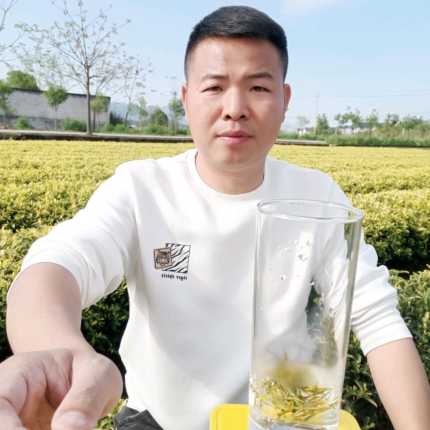 月信一壶好茶