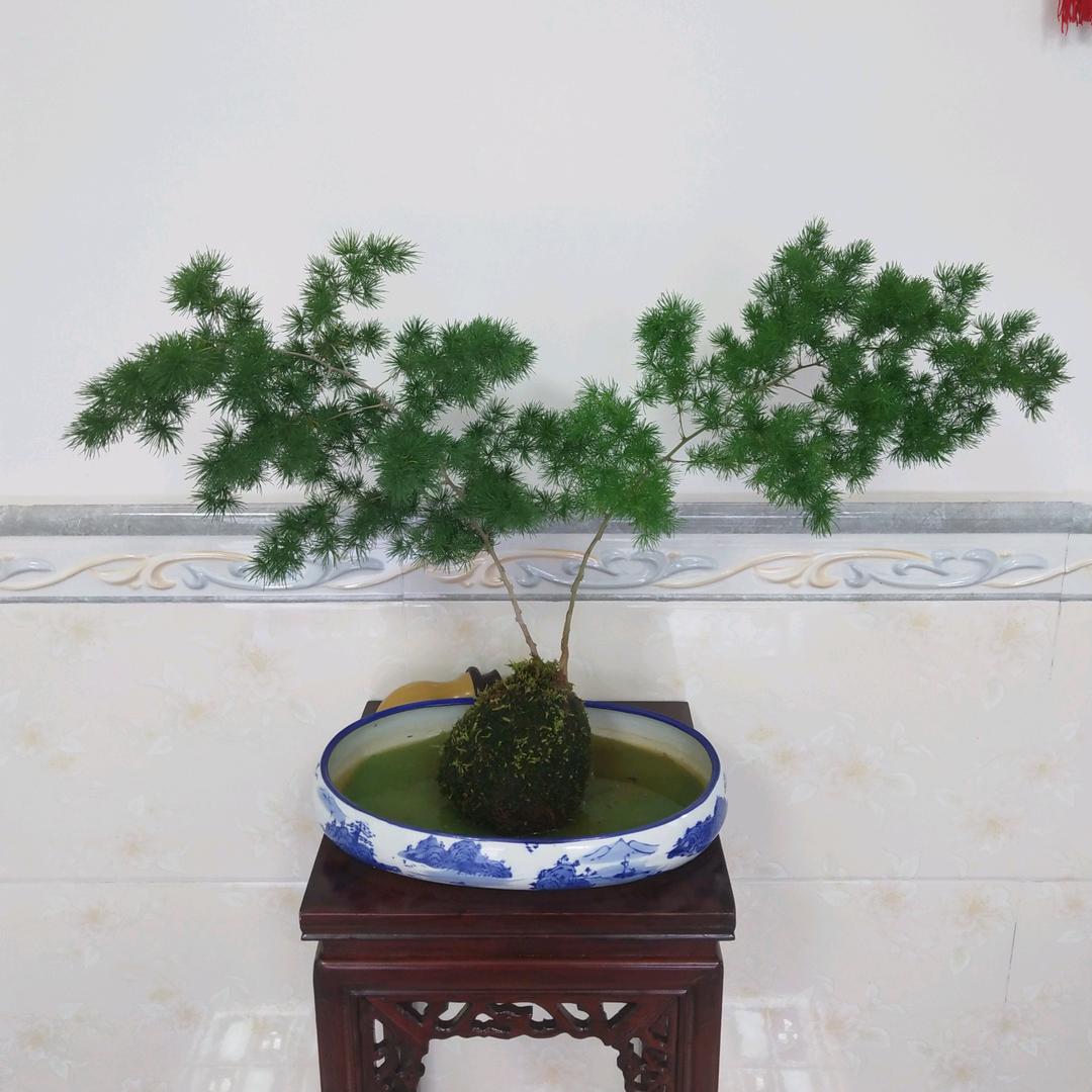 绿源～山水（一）