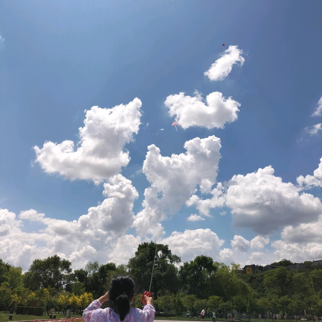 风一样的男子(❁´◡`❁)*✲ﾟ