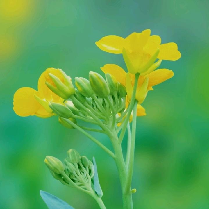 小明故事汇