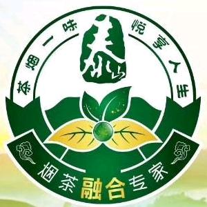 烟卡徽章王中王