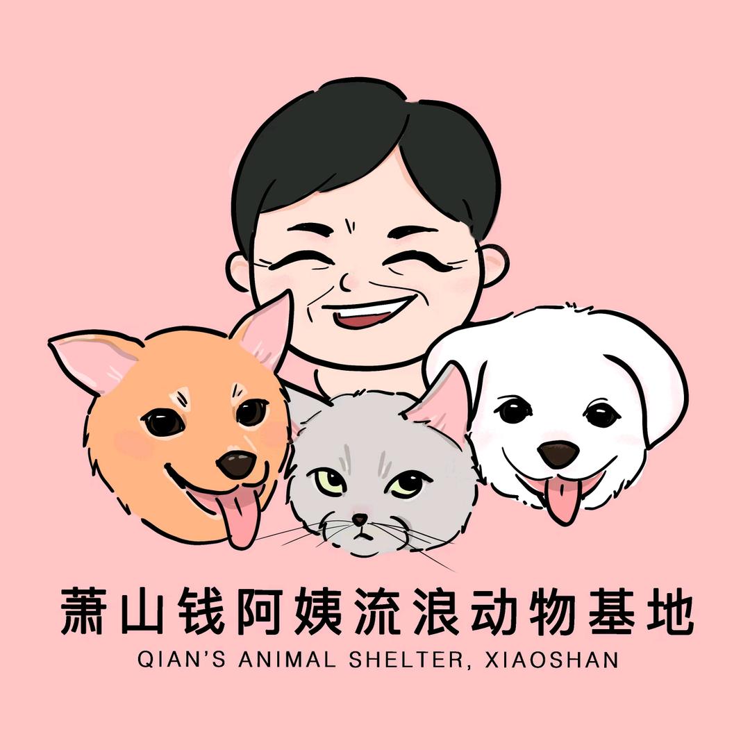 萧山钱阿姨流浪动物基地