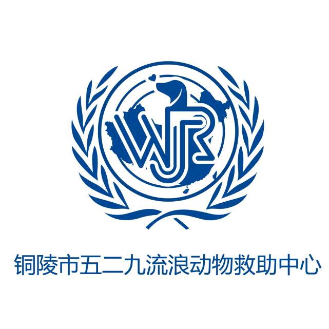 铜陵市五二九流浪动物救助中心