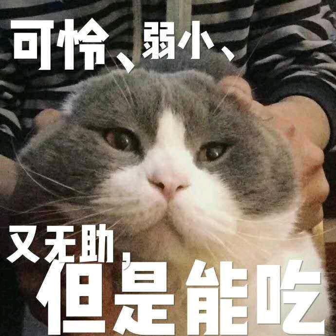 星悦