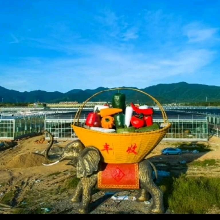 为梦想而前行