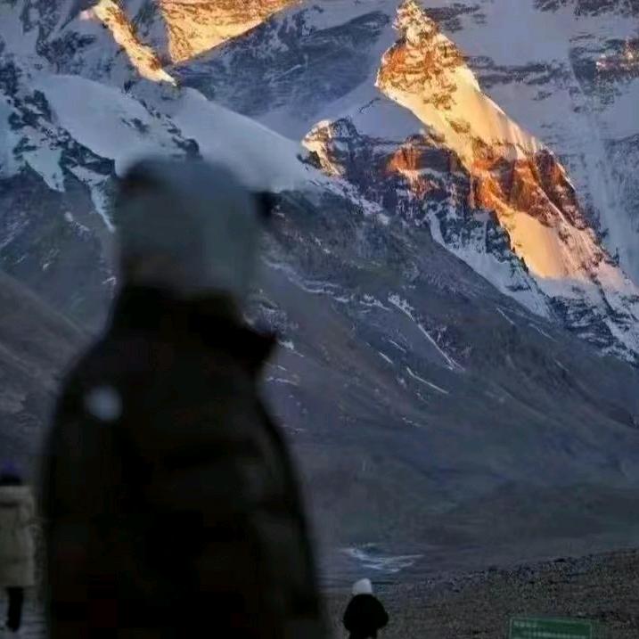 擅长白给的康先生