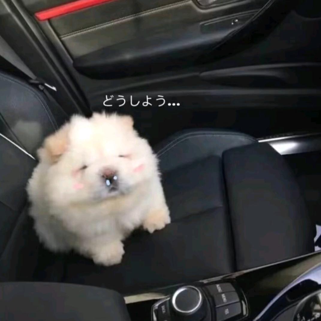 我吃饭时不饿