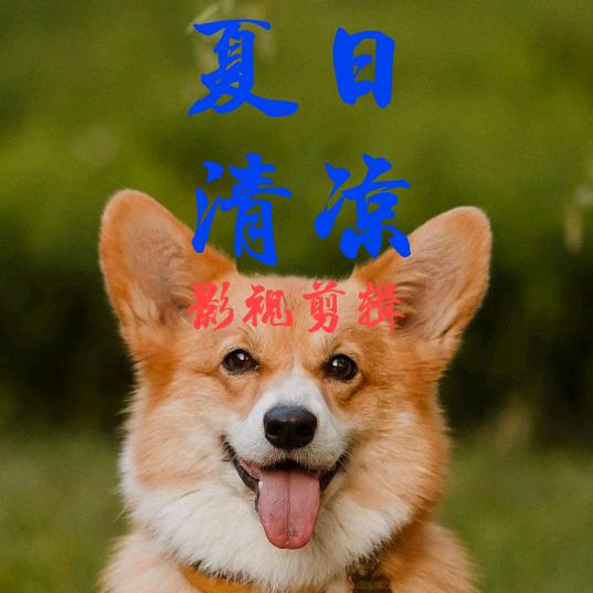 夏日清凉影视剪辑