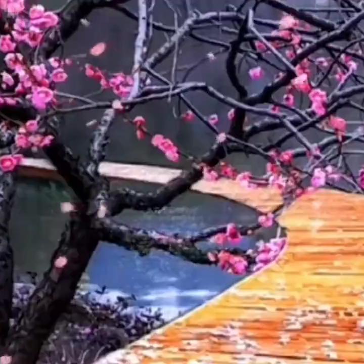 生命探索