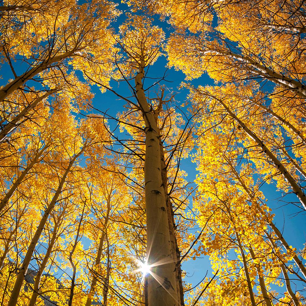 奔跑在路上搞钱