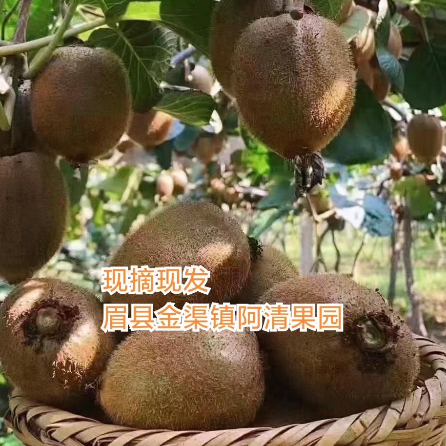 阿清果园