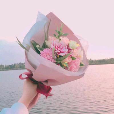 波波 💕