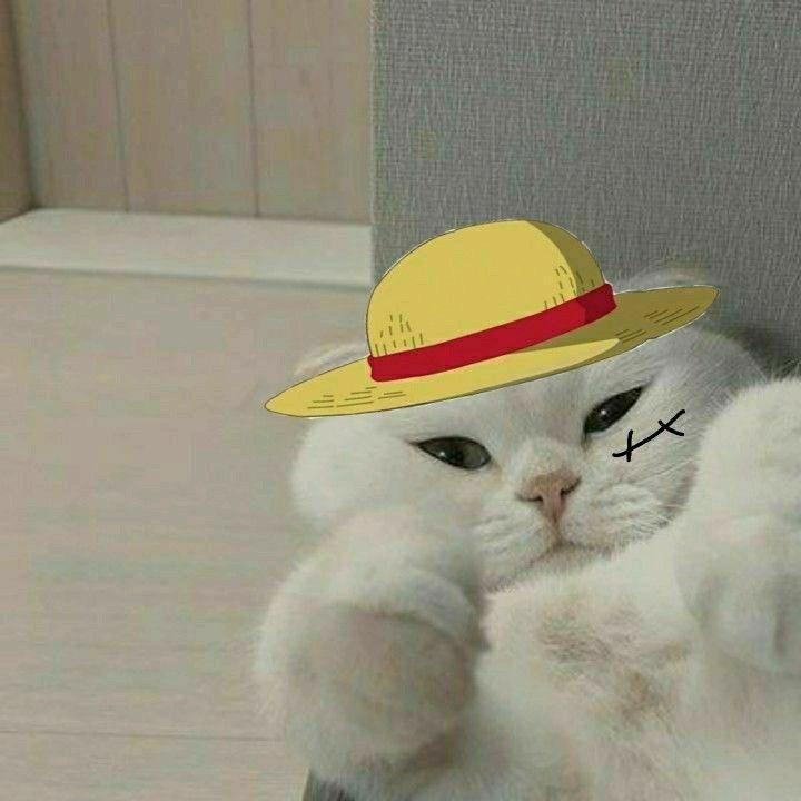 炁