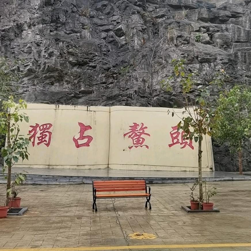 游泥震豪