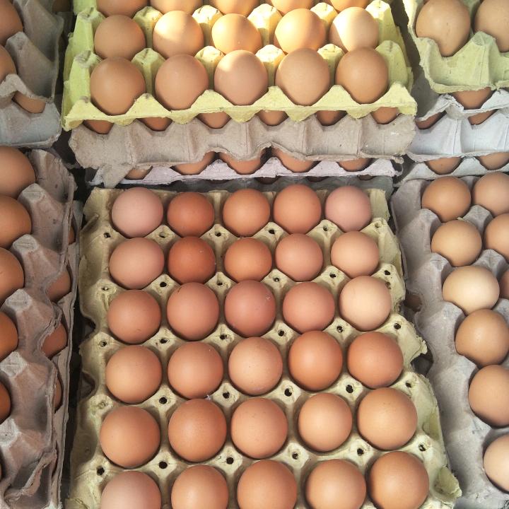 淳化方里辛留鸡蛋