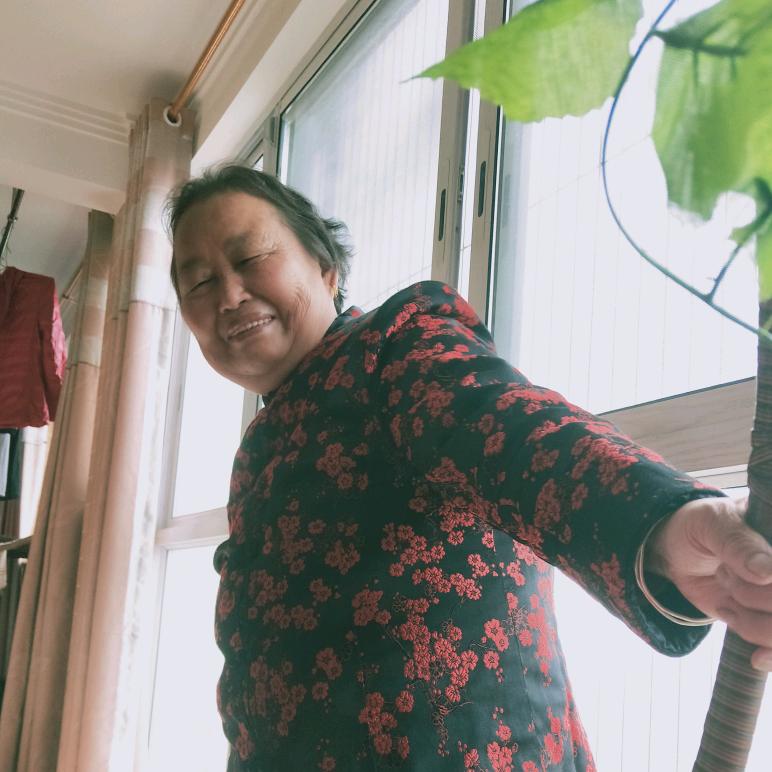 活泼的奶奶